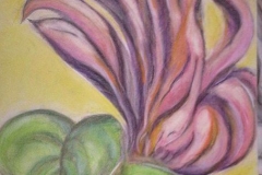 Flower 2009